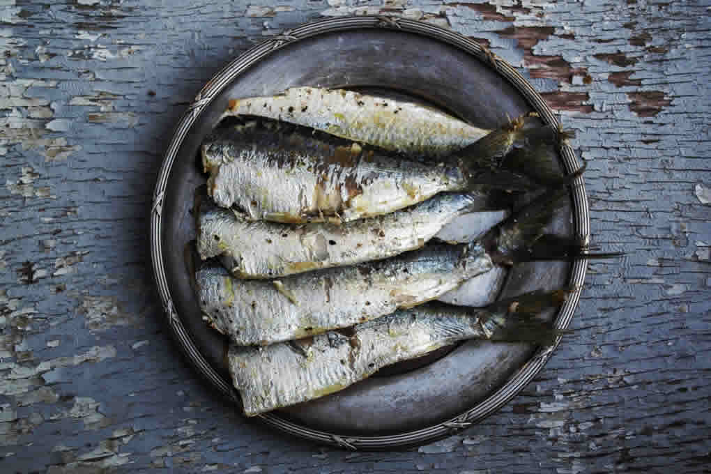 沙丁魚的營養事實和健康益處